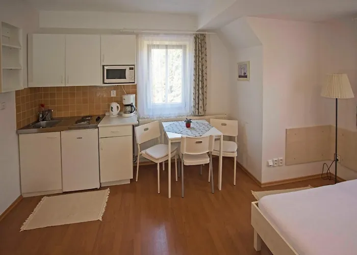 Maison d'hôtes Minerva Špindlerŭv Mlýn