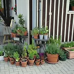 招待所 Minerva