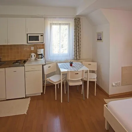 Gasthuis Minerva Špindlerŭv Mlýn