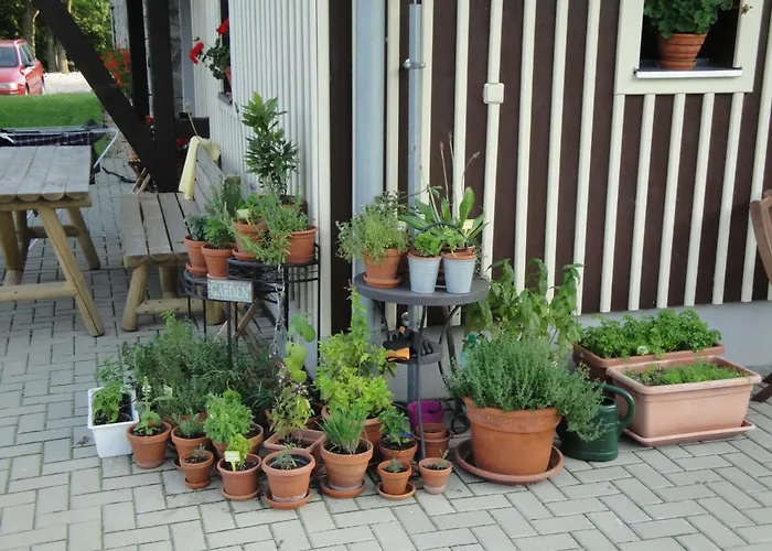 Гостевой дом Minerva